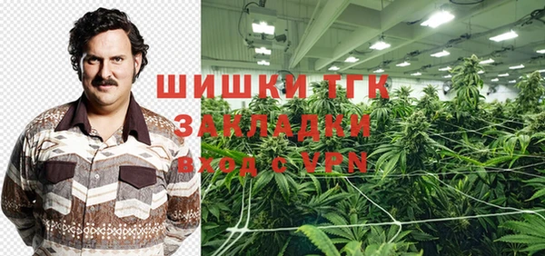 дживик Абинск