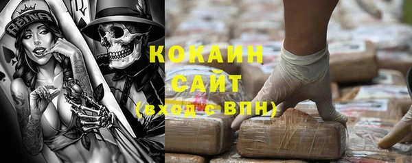 дживик Абинск